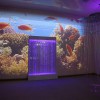 Проекционный дизайн "Виртуальная реальность" базовый комплект 500 анимаций - «globural.ru» - Волгоград