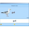Английский язык. Освоение клавиатуры - «globural.ru» - Волгоград