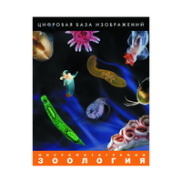 Зоология. Микрофотографии. (Цифровая база изображений) - «globural.ru» - Волгоград