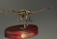 Модель скелета динозавра Velociraptor - «globural.ru» - Волгоград