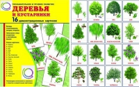 Демонстрационные карточки "Деревья и кустарники" - «globural.ru» - Волгоград