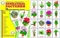 Демонстрационные карточки "Комнатные растения" - «globural.ru» - Волгоград