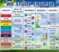 Стенд "We study english" - «globural.ru» - Волгоград
