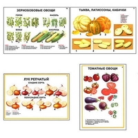 Плакаты ПРОФТЕХ "Ассортимент овощных культур" (12 пл, винил, 70х100) - «globural.ru» - Волгоград
