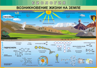 Таблица Возникновение жизни на Земле 1000*1400 винил - «globural.ru» - Волгоград
