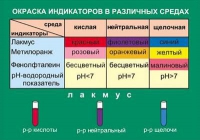 Таблица Окраска индикаторов в различных средах (винил) - «globural.ru» - Волгоград