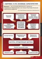 ОБЖ Здоровый образ жизни (комплект таблиц) - «globural.ru» - Волгоград