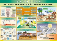Таблица Антропогенное воздействие на биосферу 1000*700 винил - «globural.ru» - Волгоград