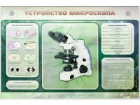 Электрифицированный стенд "Устройство микроскопа и правила работы c ним" - «globural.ru» - Волгоград