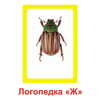 Логопедка "Ж" (логопедические карточки) - «globural.ru» - Волгоград