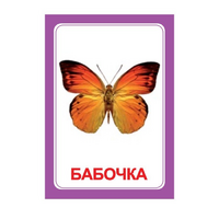 Логопедка "Ч" (логопедические карточки) - «globural.ru» - Волгоград