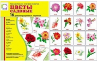 Демонстрационные карточки "Цветы садовые" - «globural.ru» - Волгоград