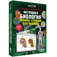 Наглядная биология. Человек. Строение тела человека - «globural.ru» - Волгоград