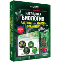 Наглядная биология. Растение - живой организм - «globural.ru» - Волгоград