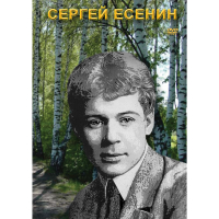 DVD Сергей Есенин - «globural.ru» - Волгоград