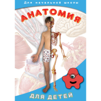 DVD  Анатомия для детей - «globural.ru» - Волгоград