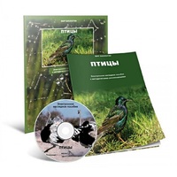 Электронное наглядное пособие «Птицы» - «globural.ru» - Волгоград