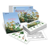 Комбинированное наглядное пособие «Растения» - «globural.ru» - Волгоград