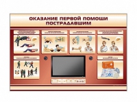 Многофункциональный интерактивный стенд-тренажер "Оказание первой помощи пострадавшим" для учащихся общеобразовательных учреждений - «globural.ru» - Волгоград