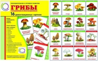 Демонстрационные карточки  "Грибы съедобные и не съедобные" - «globural.ru» - Волгоград