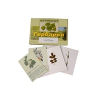 Гербарий "Деревья и кустарники" (22 вида, с иллюстрациями) - «globural.ru» - Волгоград
