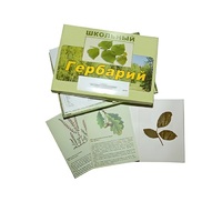 Гербарий "Дикорастущие растения" (30 видов, с иллюстрациями) - «globural.ru» - Волгоград