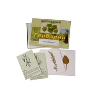 Гербарий "Лекарственные растения" (22 вида, с иллюстрациями) - «globural.ru» - Волгоград