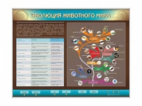Интерактивный электрифицированный стенд "Эволюция животного мира" - «globural.ru» - Волгоград