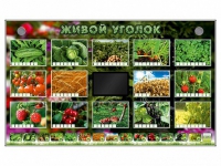 Комплект оборудования "Живой уголок" (растения) - «globural.ru» - Волгоград