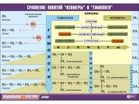 Таблица демонстрационная "Сравнение понятий изомер и гомолог" (винил 100х140) - «globural.ru» - Волгоград