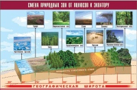 Таблица демонстрационная "Смена природных зон от полюсов к экватору" (винил 70x100) - «globural.ru» - Волгоград