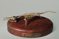 Модель скелета ихтиозавра Ichthyosaurus - «globural.ru» - Волгоград