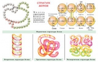 Плакаты и таблицы по общей химии - «globural.ru» - Волгоград