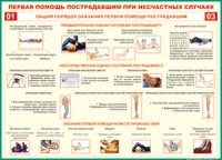  Таблица Общий порядок оказания первой помощи пострадавшим 1000*1400 винил	 - «globural.ru» - Волгоград