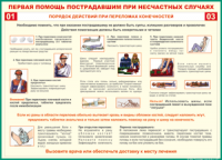 Таблица Порядок действий при переломах конечностей 1000*1400 винил - «globural.ru» - Волгоград