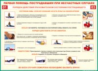 Таблица Порядок действий при коматозном состоянии пострадавшего 1000*1400 винил - «globural.ru» - Волгоград