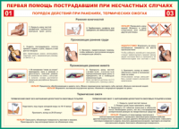Таблица Порядок действий при ранениях и термических ожогах	 1000*1400 винил - «globural.ru» - Волгоград