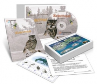 Комбинированное наглядное пособие «Животные» - «globural.ru» - Волгоград