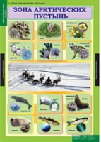 Окружающий мир 4 класс (комплект таблиц) - «globural.ru» - Волгоград
