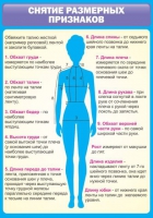 Стенд "Снятие мерок" (вариант 2) - «globural.ru» - Волгоград