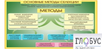 Стенд "Методы селекции и биотехнологии" - «globural.ru» - Волгоград