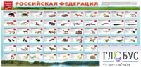 Стенд "Красная книга РФ" - «globural.ru» - Волгоград