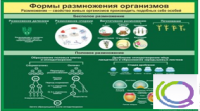 Стенд "Формы размножения организмов" - «globural.ru» - Волгоград