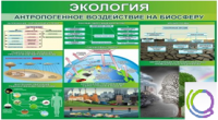 Стенд "Экология. Антропогенное воздействие на биосферу" - «globural.ru» - Волгоград