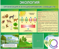 Стенд "Экология. Организация и функционирование сообществ" - «globural.ru» - Волгоград