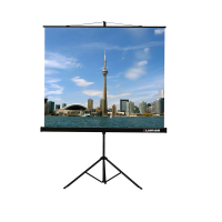 Проекционный экран на штативе Lumien Eco View (LEV-100105) 160x160 см - «globural.ru» - Волгоград