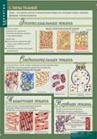 Биология 8-9 класс. Человек. (комплект таблиц) - «globural.ru» - Волгоград