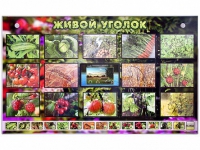 Комплект оборудования "Живой уголок" (растения) с тифлопереводом и сурдокомментариями - «globural.ru» - Волгоград