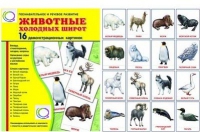 Демонстрационные карточки "Животные холодных широт" - «globural.ru» - Волгоград
