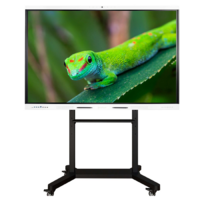 Интерактивный комплекс Geckotouch ​​​​​​​65RK - «globural.ru» - Волгоград